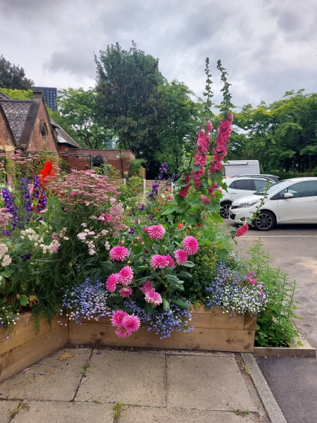 St Wilfrid's Community Garden